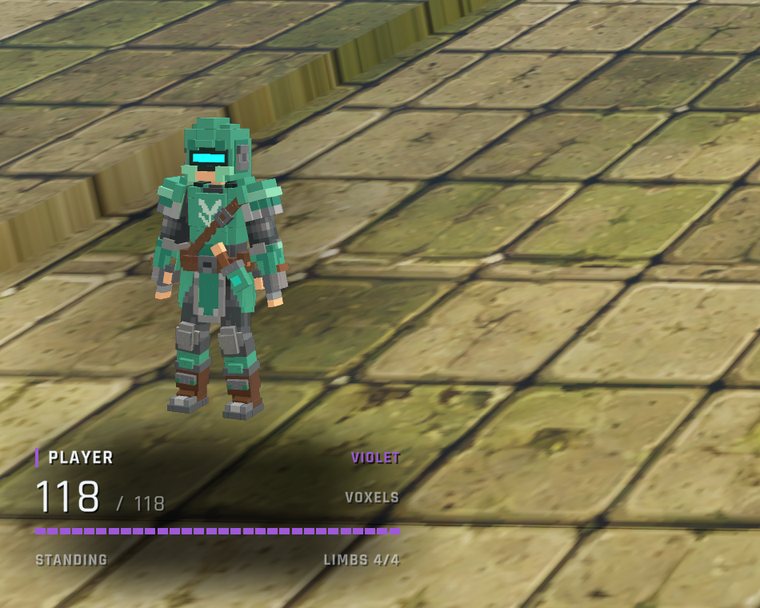 Close-up of the HUD's bottom-left: the player's 3D hero figure over the arena floor, with PLAYER, 118 of 118 voxels, a violet bar, STANDING and LIMBS 4/4.